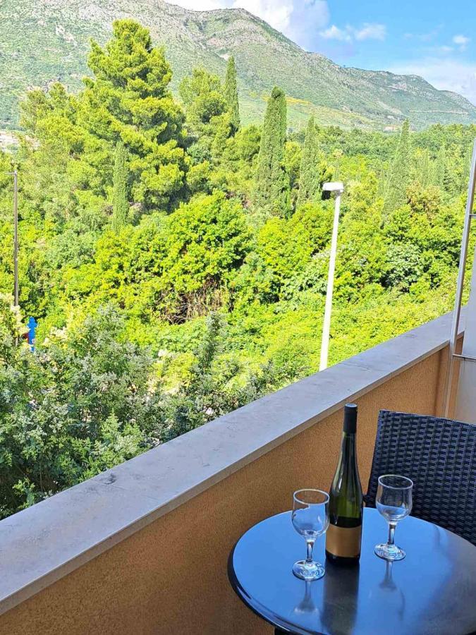 Guesthouse Villa Stanovic Vlaho Кавтат Екстериор снимка